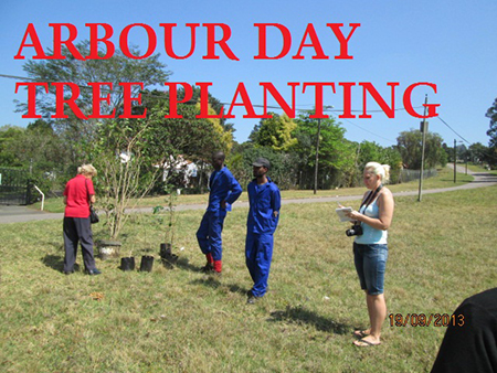 190913-arbour-day-planting-B