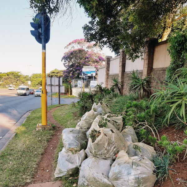 Od Main Road Clean Up